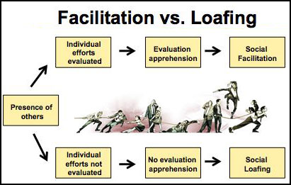 facilitation vs loafing
